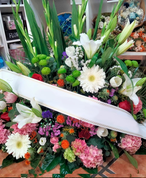 floristería Logroño