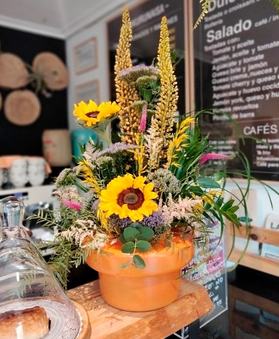 Centro de plantas con girasol