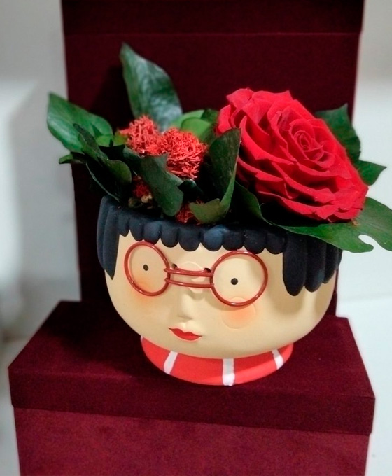 Maceta de flores en Logroño